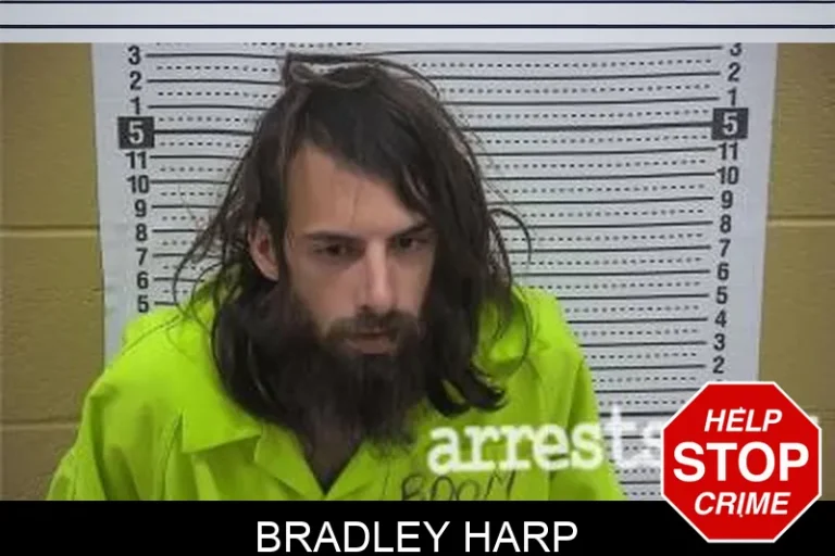 Bradley Harp