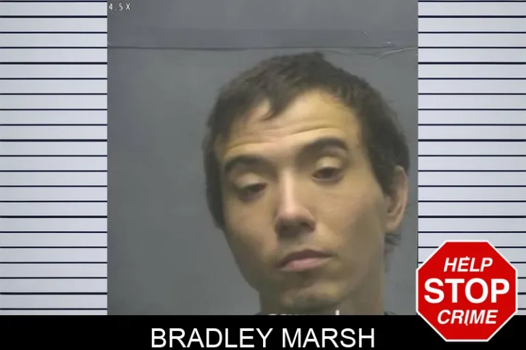 Bradley Marsh
