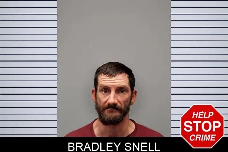 Bradley Snell