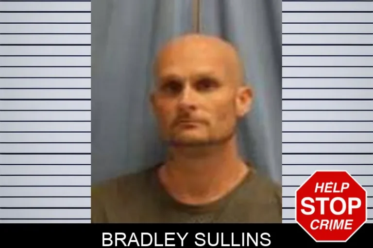 Bradley Sullins