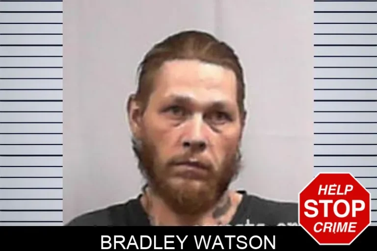 Bradley Watson