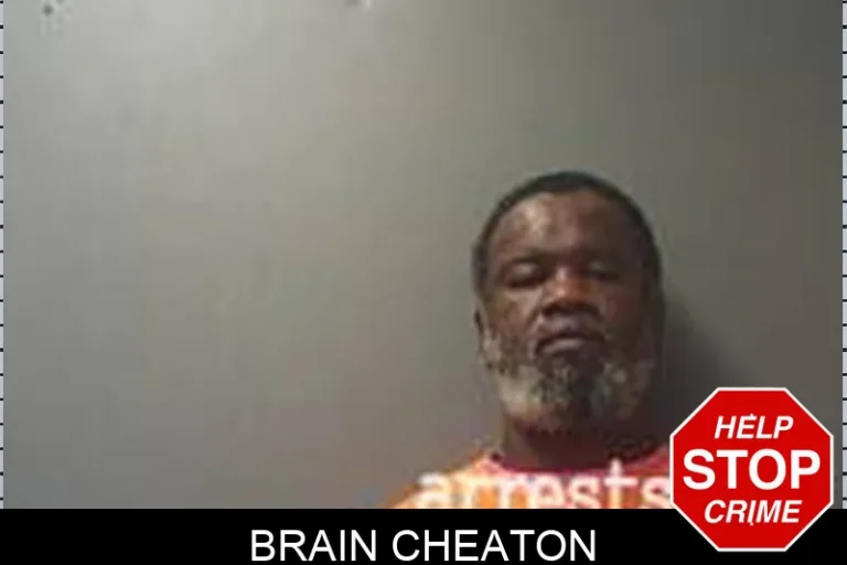 Brain Cheaton