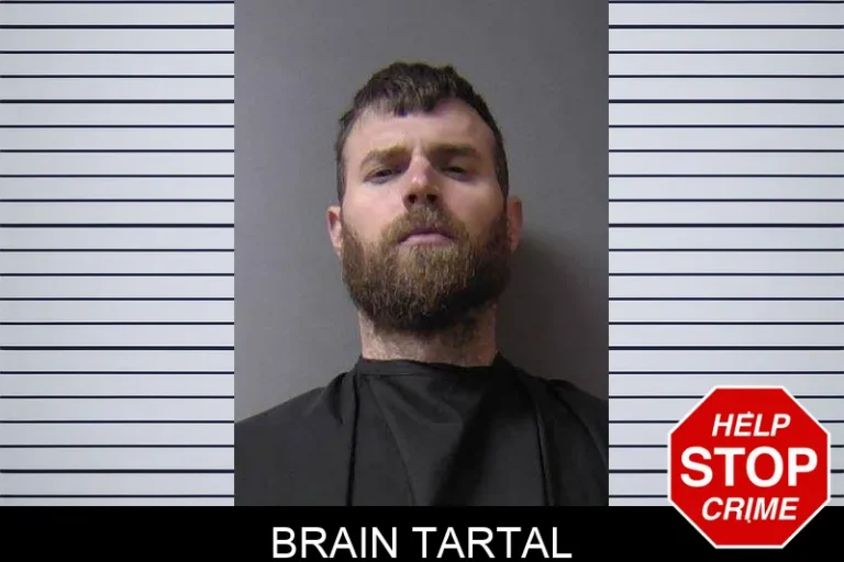 Brain Tartal