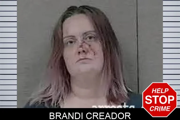 Brandi Creador