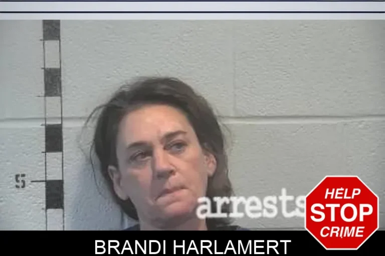 Brandi Harlamert
