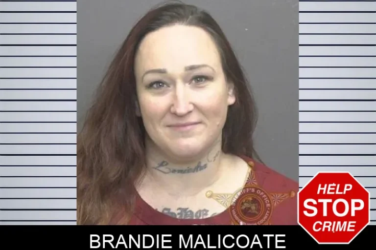 Brandie Malicoate