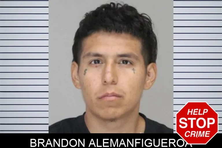 Brandon Alemanfigueroa
