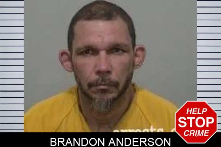 Brandon Anderson