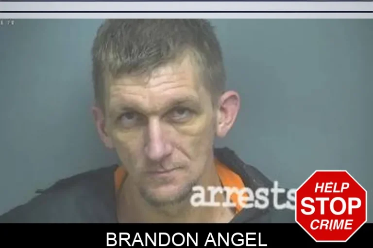 Brandon Angel