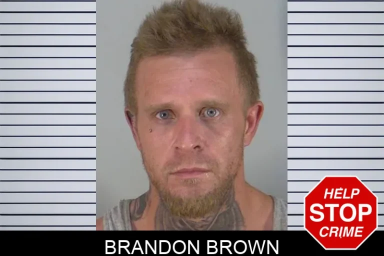 Brandon Brown
