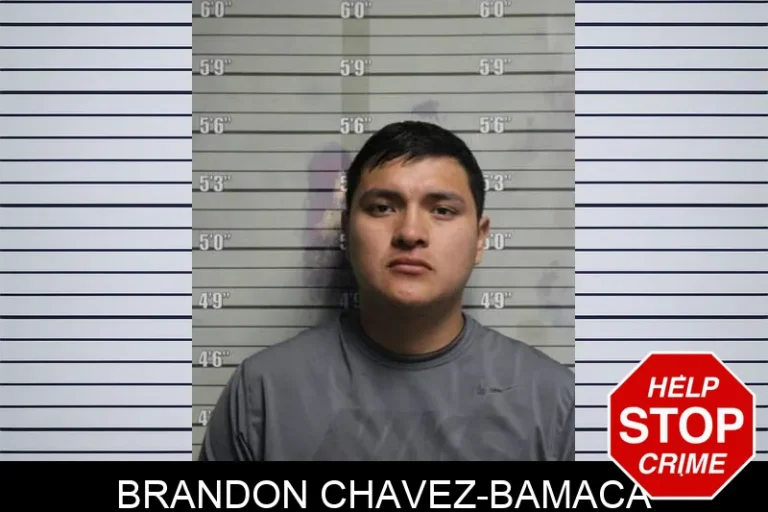 Brandon Chavez-Bamaca