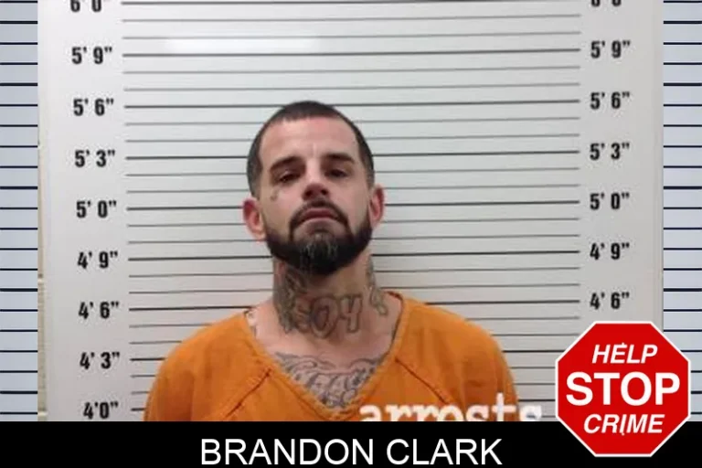 Brandon Clark