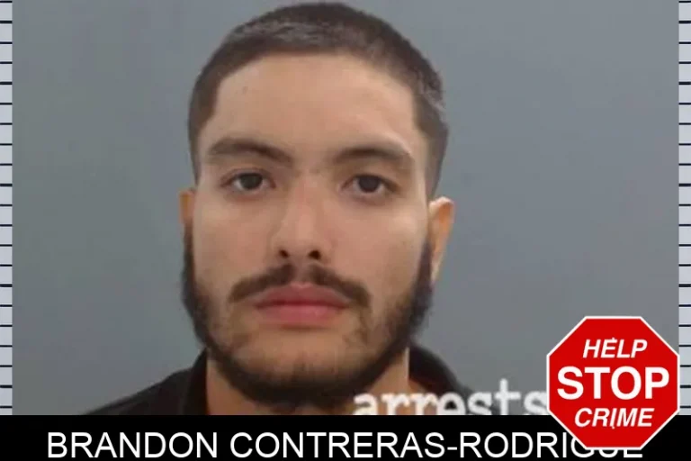 Brandon Contreras-Rodrigue