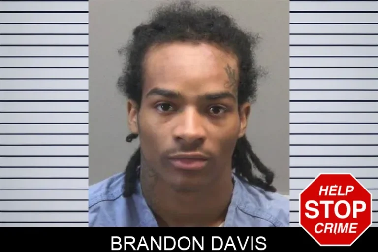 Brandon Davis