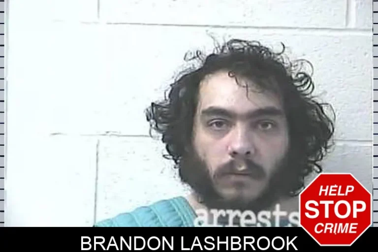 Brandon Lashbrook