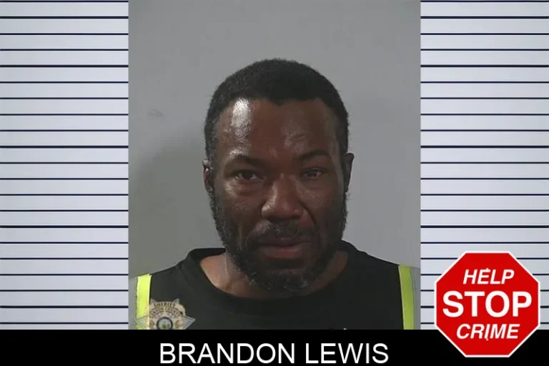 Brandon Lewis