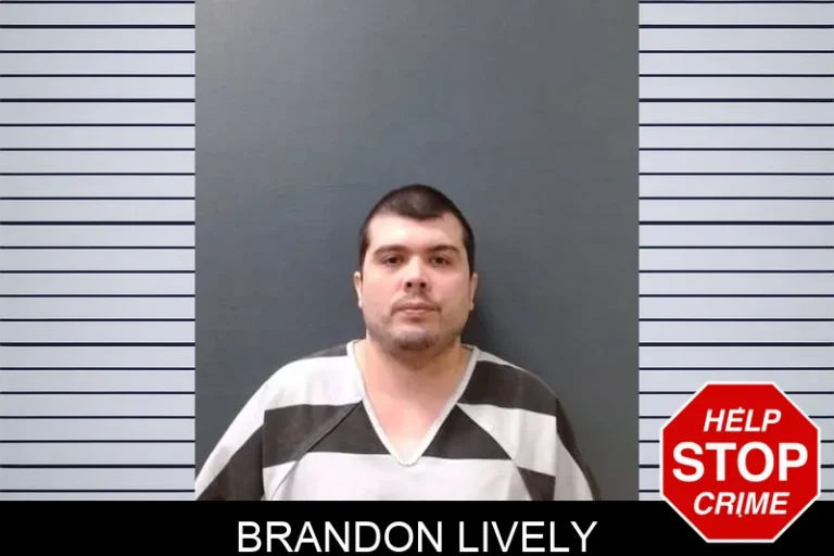 Brandon Lively