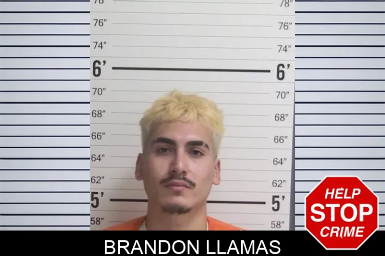 Brandon Llamas