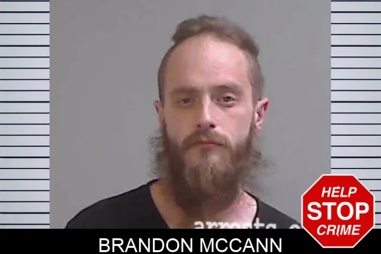 Brandon McCann