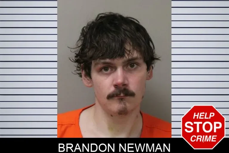 Brandon Newman