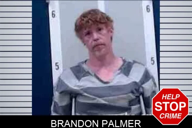 Brandon Palmer