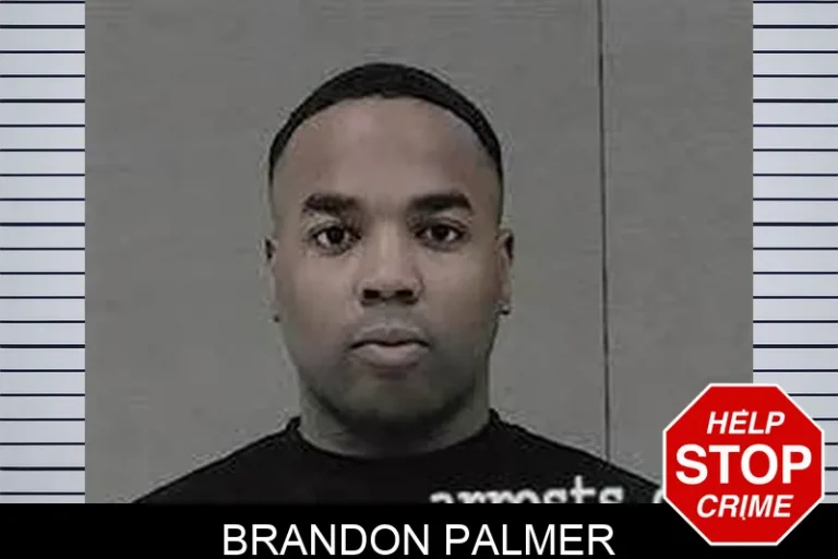 Brandon Palmer