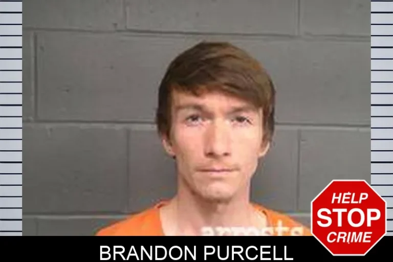 Brandon Purcell