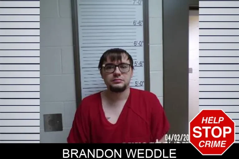 Brandon Weddle