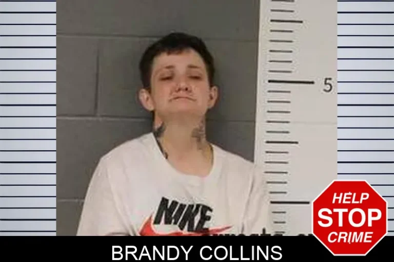 Brandy Collins