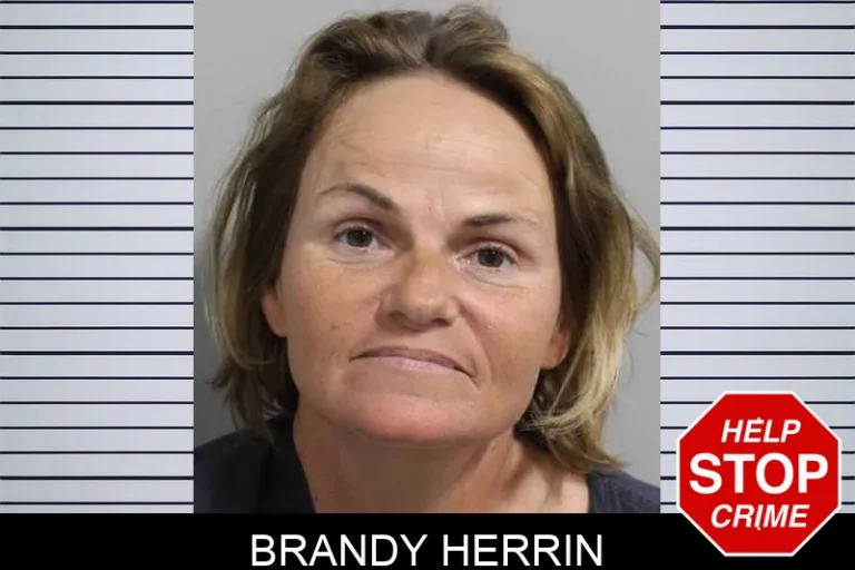 Brandy Herrin