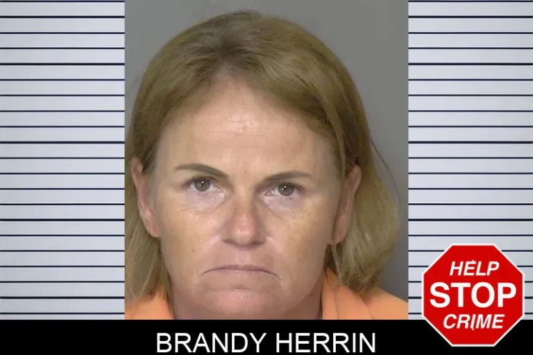Brandy Herrin