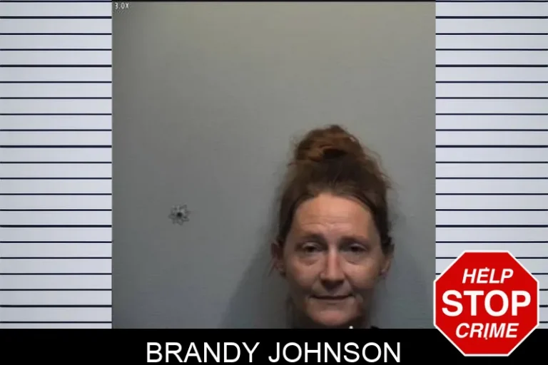 Brandy Johnson