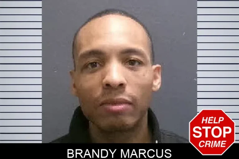 Brandy Marcus