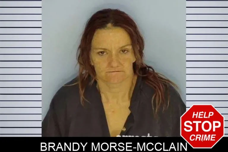 Brandy Morse-McClain