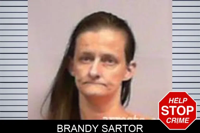 Brandy Sartor