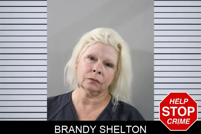 Brandy Shelton