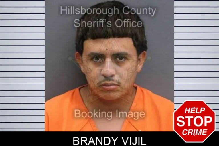 Brandy Vijil