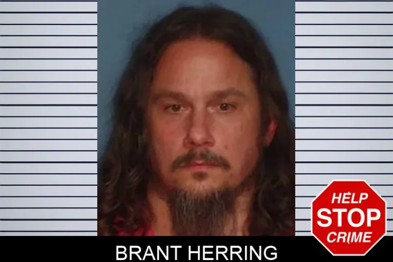 Brant Herring