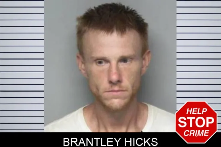 Brantley Hicks