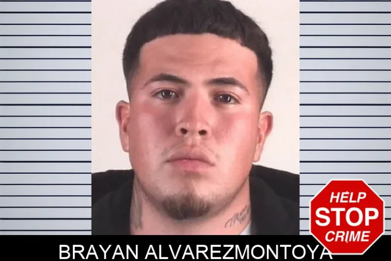 Brayan Alvarezmontoya