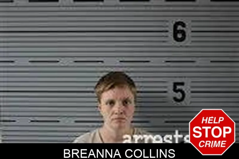 Breanna Collins