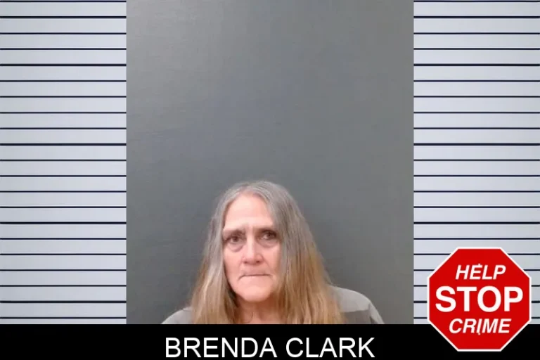 Brenda Clark