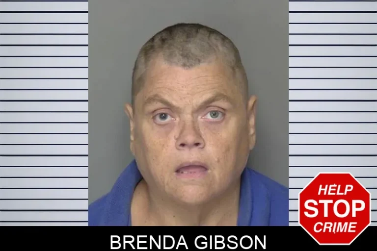 Brenda Gibson