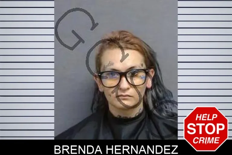 Brenda Hernandez