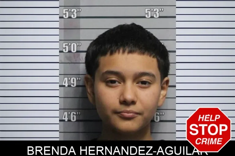 Brenda Hernandez-Aguilar
