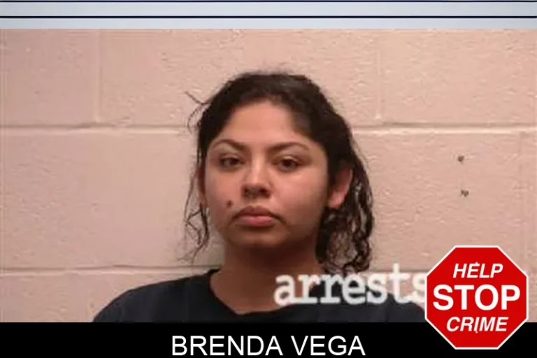 Brenda Vega