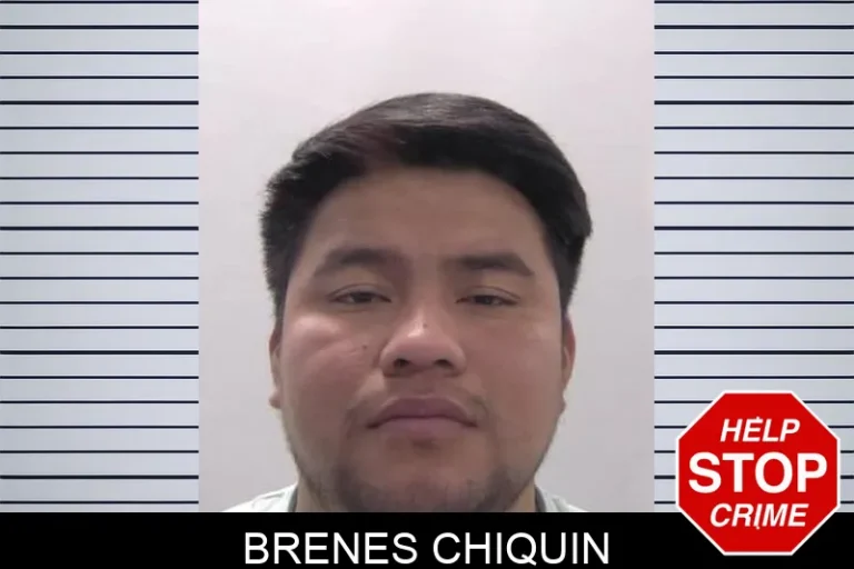 Brenes ChiquIn