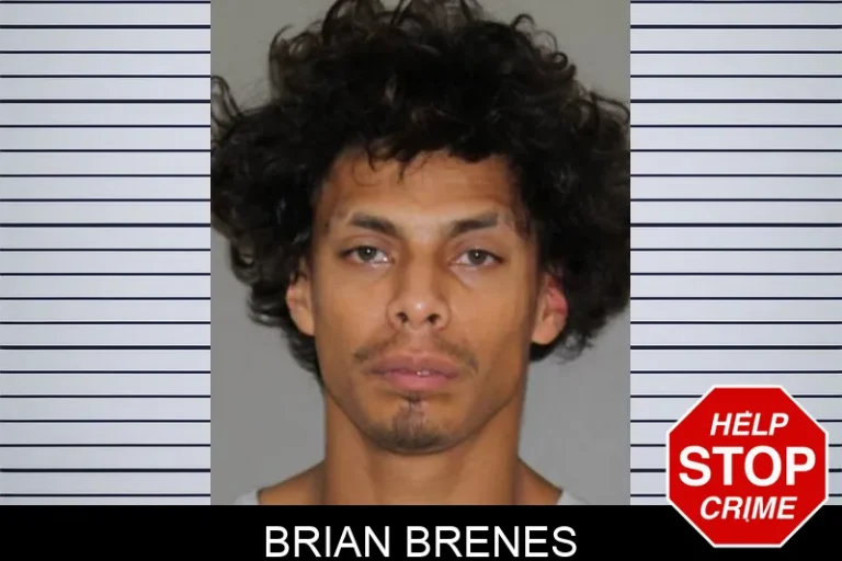 Brian Brenes