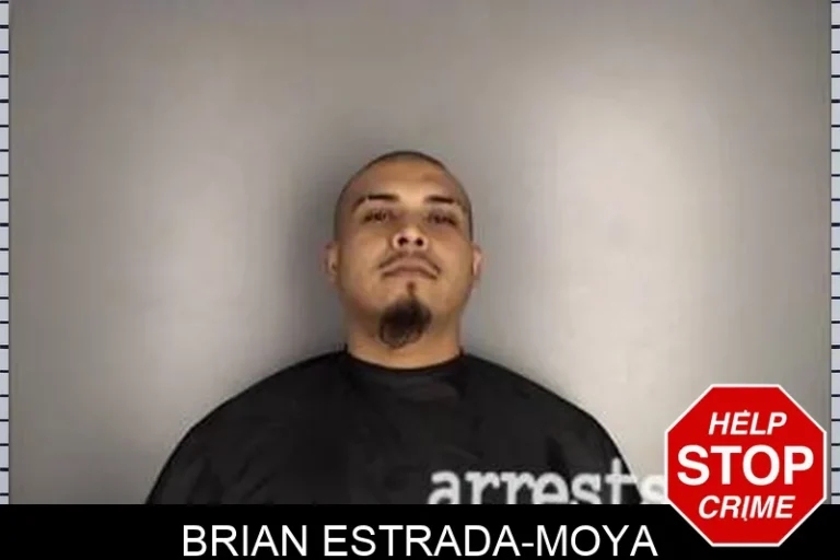 Brian Estrada-Moya