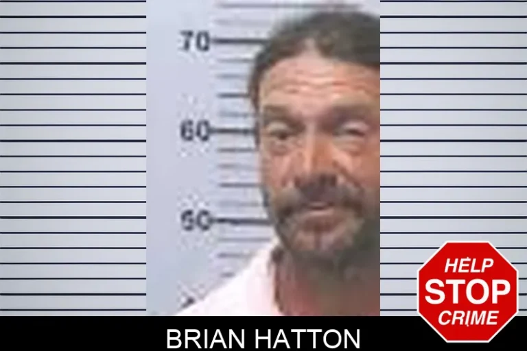 Brian Hatton